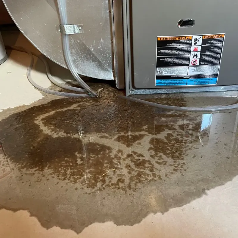 Pipe Burst and Leak Restoration in Craig County, OK